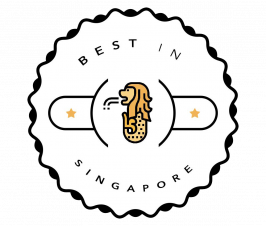 RobustTechHouse featured by Best Singapore