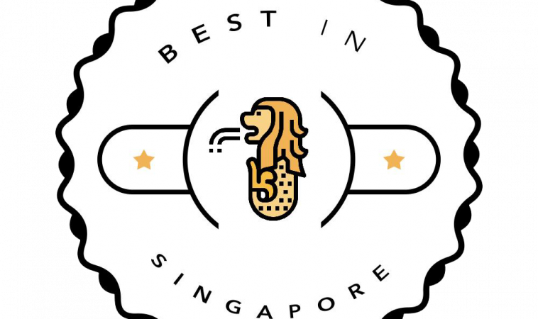 RobustTechHouse featured by Best Singapore