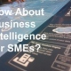How About Business Intelligence for SMEs?