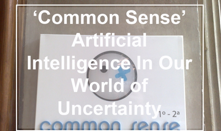 ‘Common Sense’ Artificial Intelligence In Our World of Uncertainty