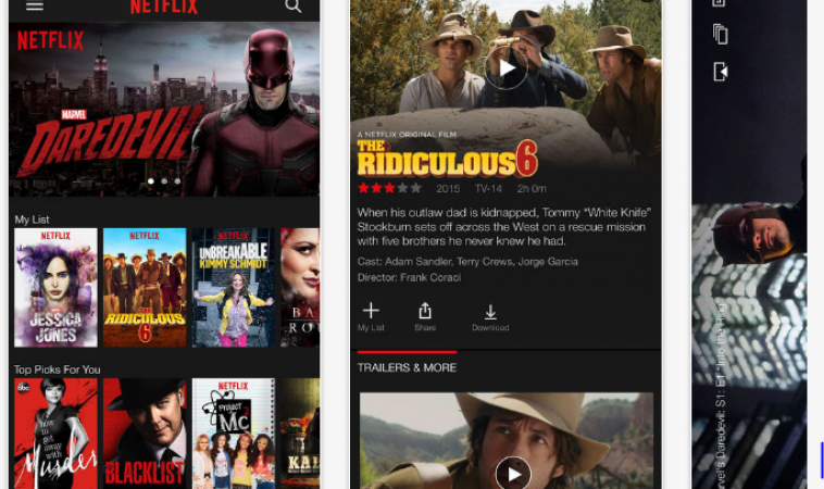 Review of the iOS Netflix App - RobustTechHouse - Mobile App