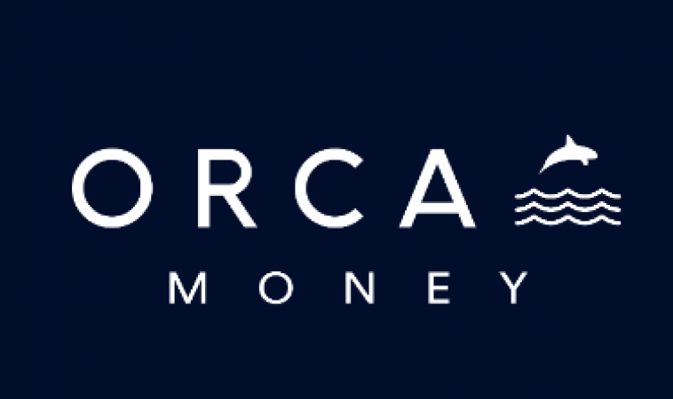 Orca’s Summary of Peer-to-Peer (P2P) Lending