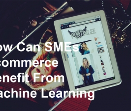 How Can SMEs Ecommerce Benefit From Machine Learning