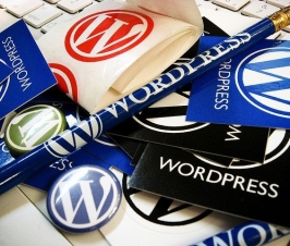 5 Tips for WordPress Developers
