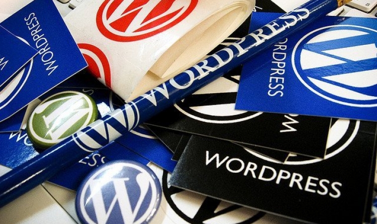 5 Tips for WordPress Developers